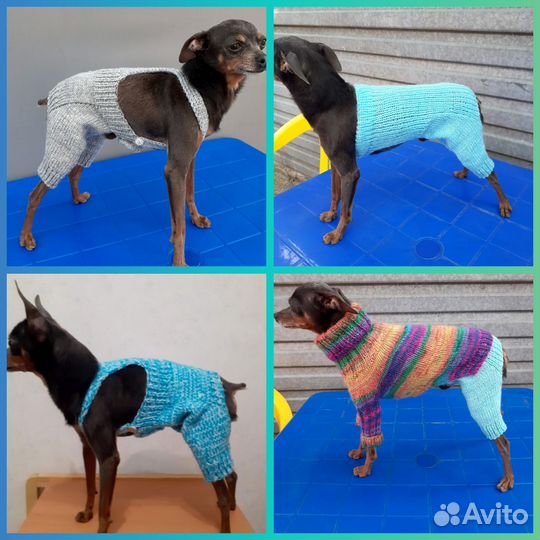 Вязанная одежда для собак мелких и средних пород