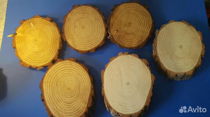 Спилы дерева, кора, ветки,пни