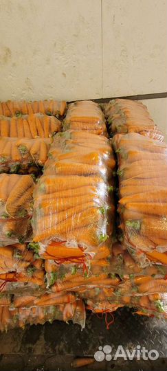 Мойка овощей