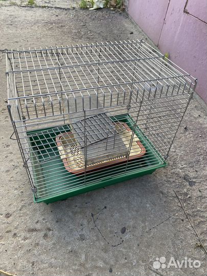 Большая клетка