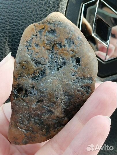 Окаменелости лотом