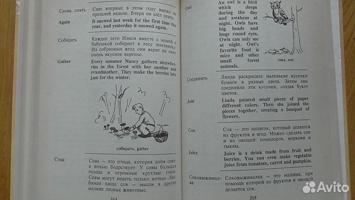 Детский русско-английский словарь в картинках