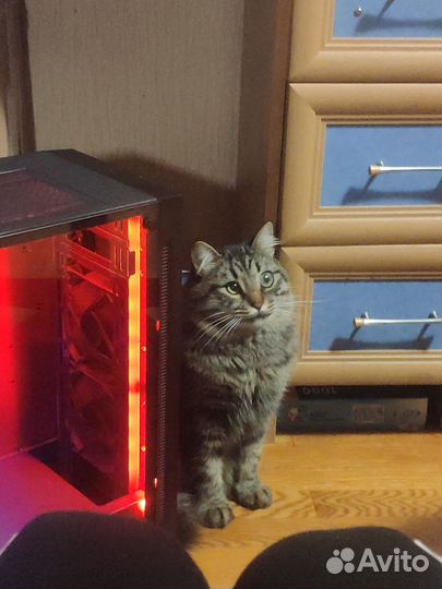Компьютер