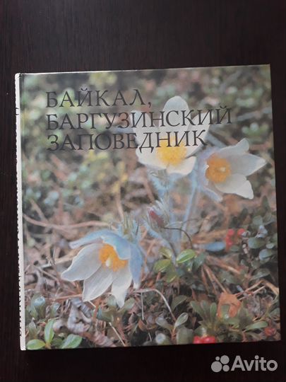 Фотоальбомы о Байкале