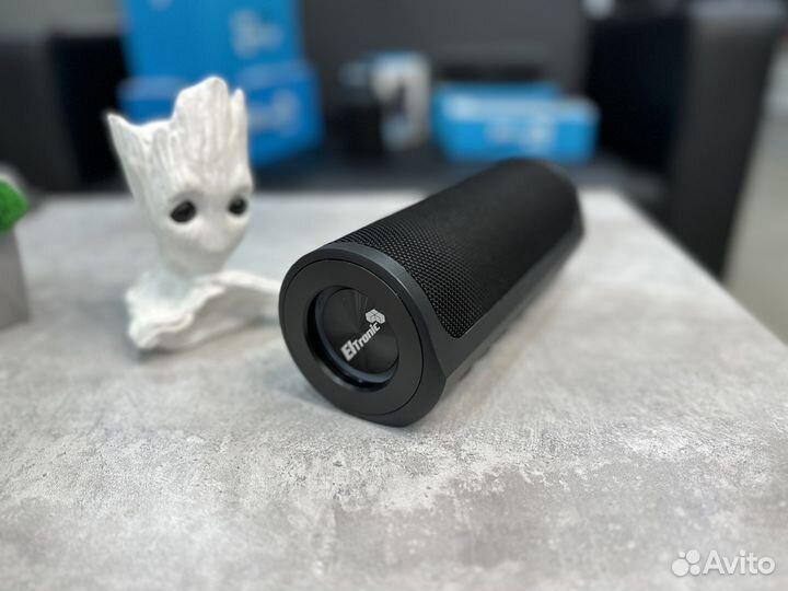 Колонка Eltronic 20-75