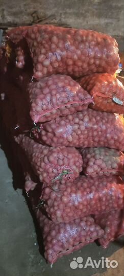 Продам картошку