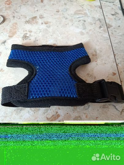 Шлейка для маленькой собаки