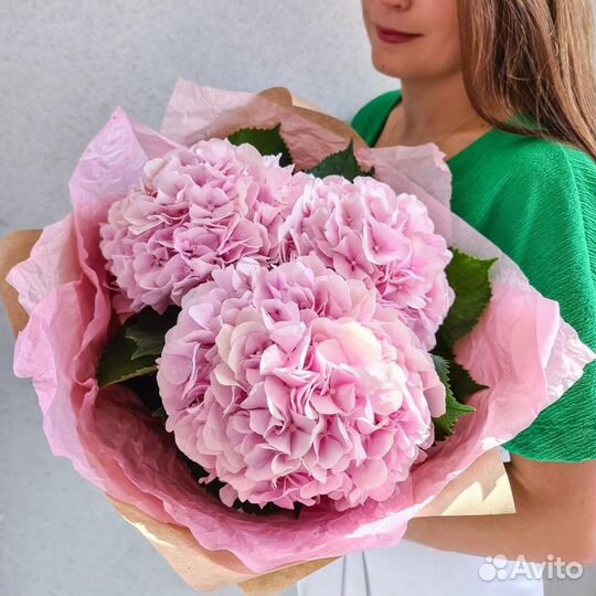 Гортензия. Букеты. Цветы с Доставкой