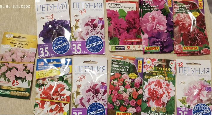 Семена цветов