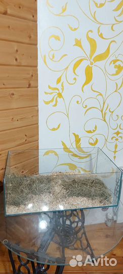 Аквариум, Террариум