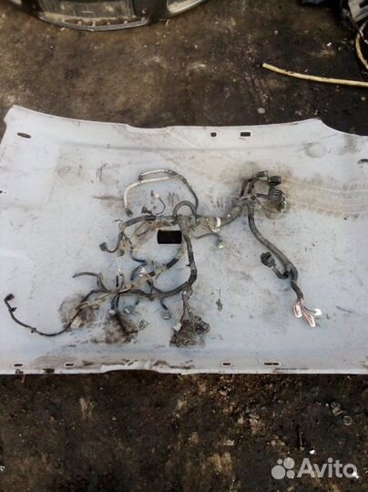 Проводка двигателя Nissan Qashqai MR20 2011