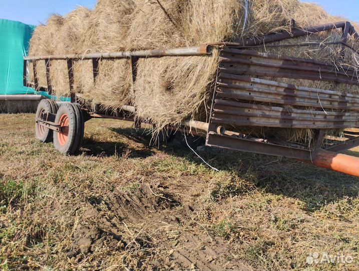 Тележка для жаток ДорАгроМаш Тележка для транспортировки жаток, 1999