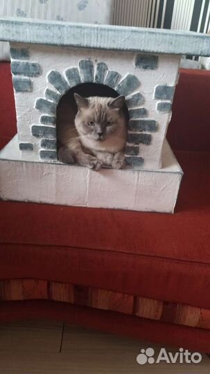 Домик для котика