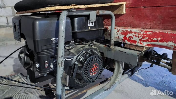 Муравейник