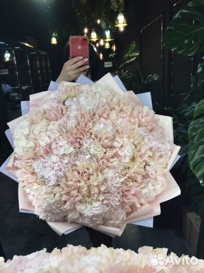 Живые цветы букеты