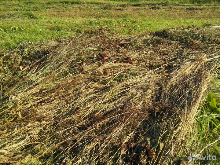 Сено и солома в тюках и рулонах