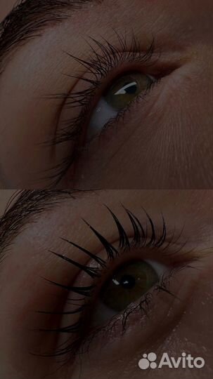 Бровист ламимейкер