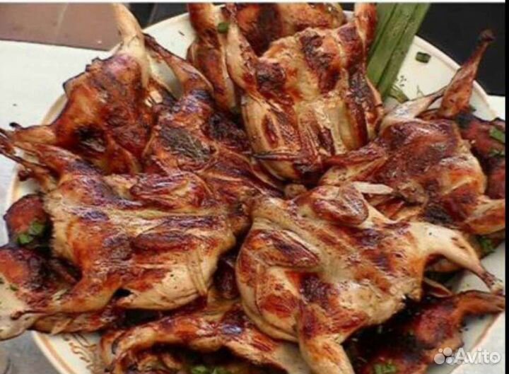 Мясо перепела, яйцо, утки, куры, индейка