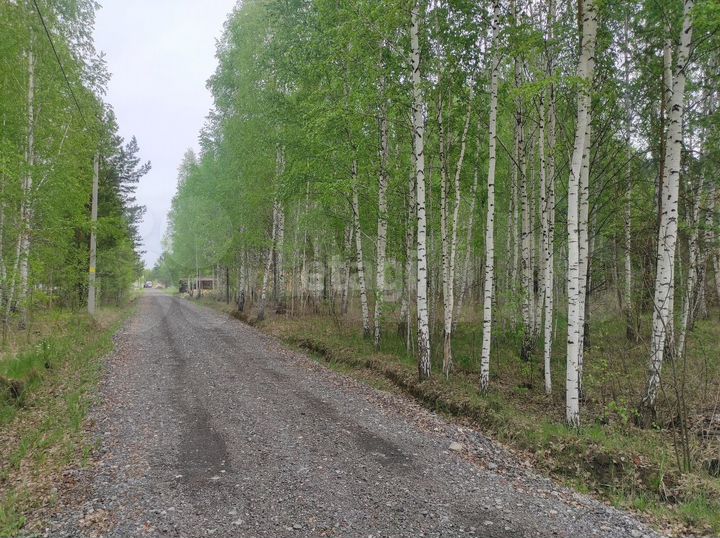 Участок 18,6 сот. (СНТ, ДНП)