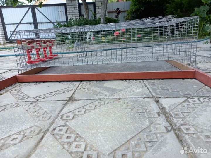 Брудер для содержания птенцов перепелок