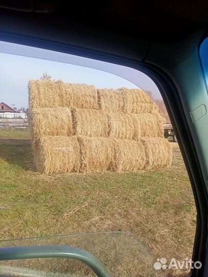 Продам солому