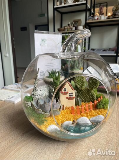 Флорариумы часть 1