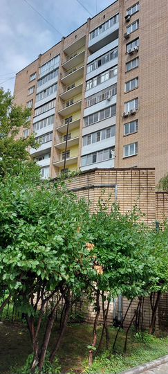 1-к. квартира, 34,5 м², 2/16 эт.