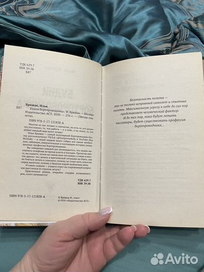 Книга Илья Брижак Будни Бортпроводника