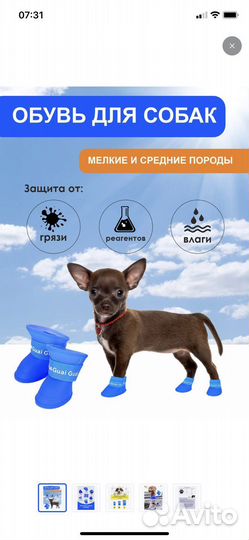 Сапоги для собак