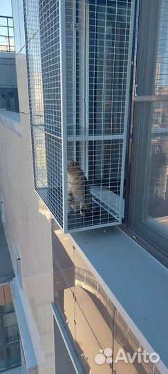 Балкон решетка клетка антикошка