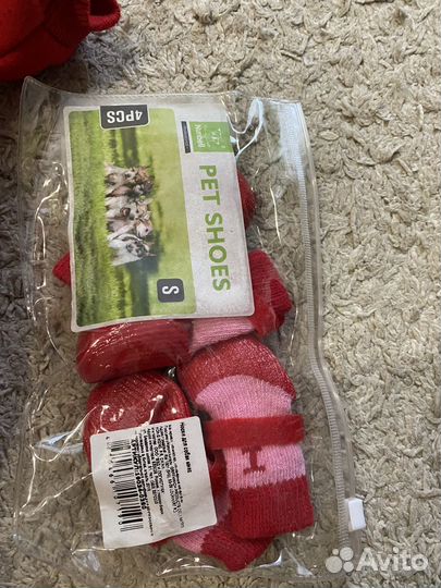 Комбинезоны на Чихуахуа