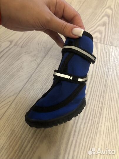 Обувь для средних собак