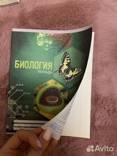 Тетради для школы