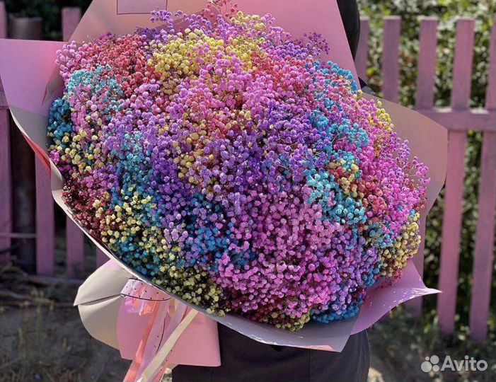 Радужная гипсофила, гигант из гипсофилы, доставка