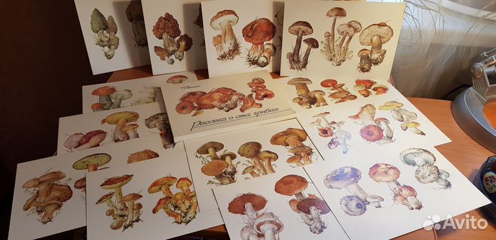 Рассказ о ста грибах