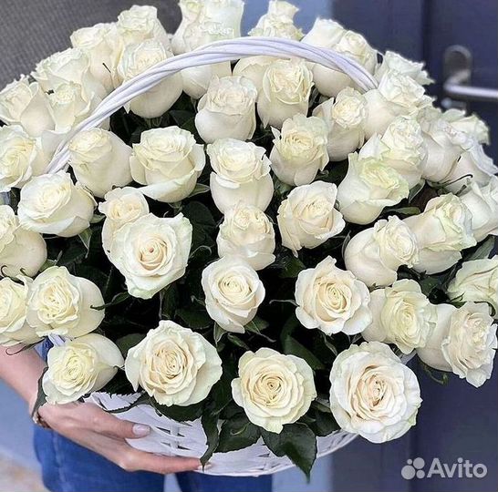 Цветы розы букеты 25 31 35 51 101 251 Доставка