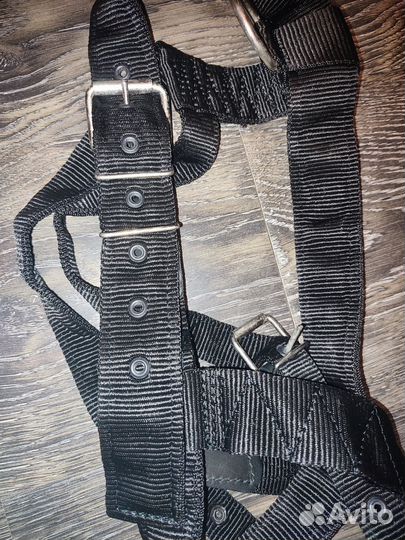 Ошейник и шлейка для большой собаки