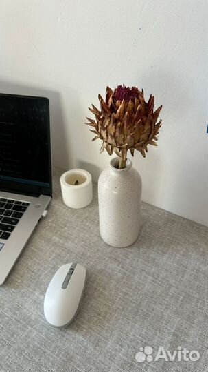 Цветы сухоцветы