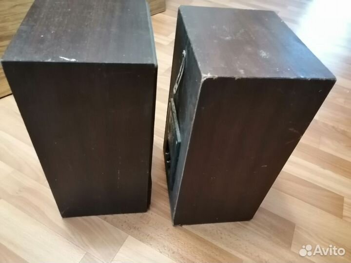 Колонки Радиотехника S30