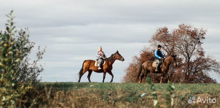 Постой, конные прогулки, фотосессии