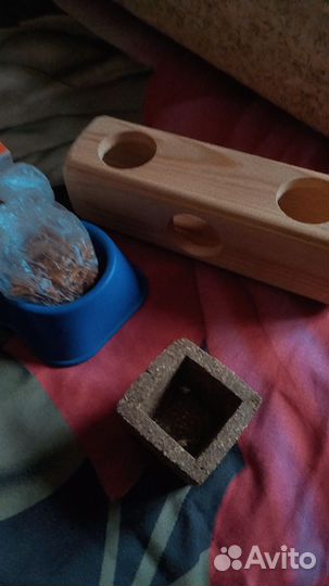 Вещи для хомяка