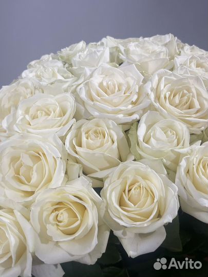 Розы 51, 101 роза 70см с доставкой