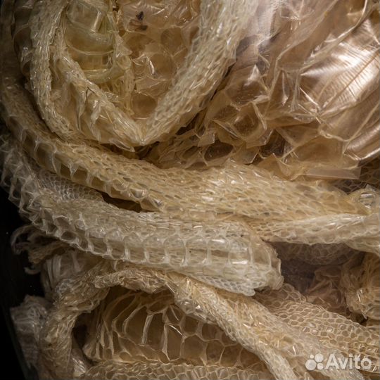 Банка с артефактами