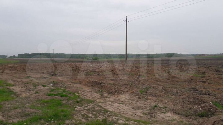 Участок 500 га (СНТ, ДНП)