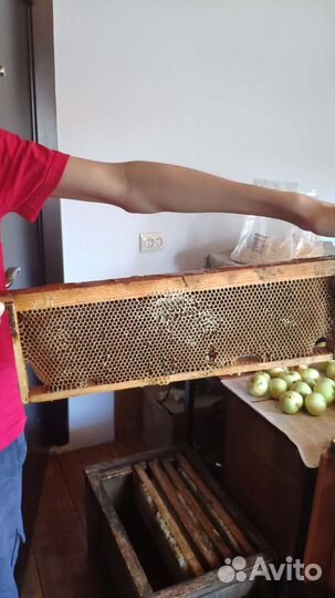 Сотовый мед в рамке