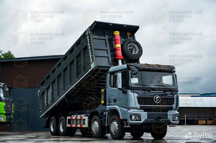 Shacman (Shaanxi) SX33186V366, 2023