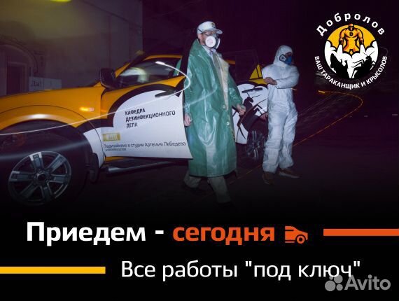 Уничтожение тараканов. Травить клопов