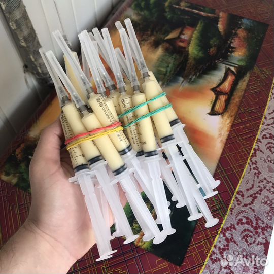 Пчелиное маточное молочко