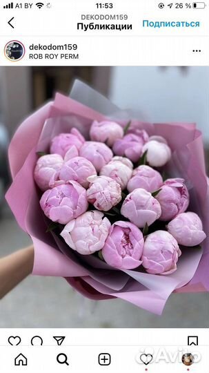 101 Роза букеты Цветы доставка 21 51 101 Пионы