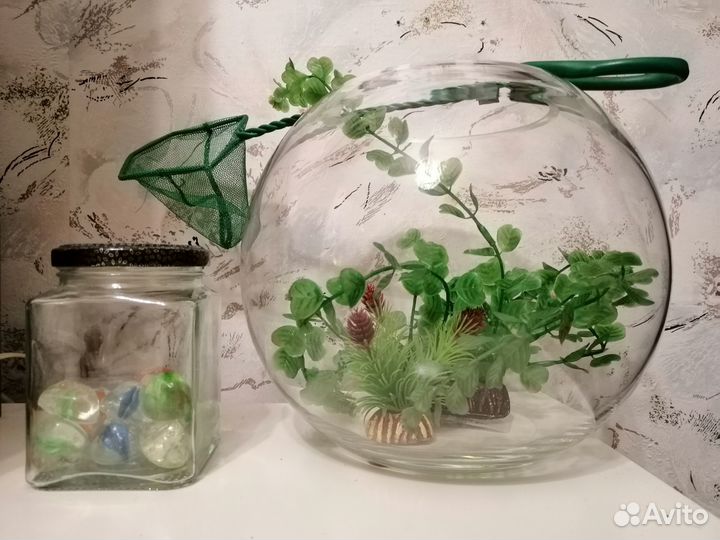 Круглый аквариум и принадлежности